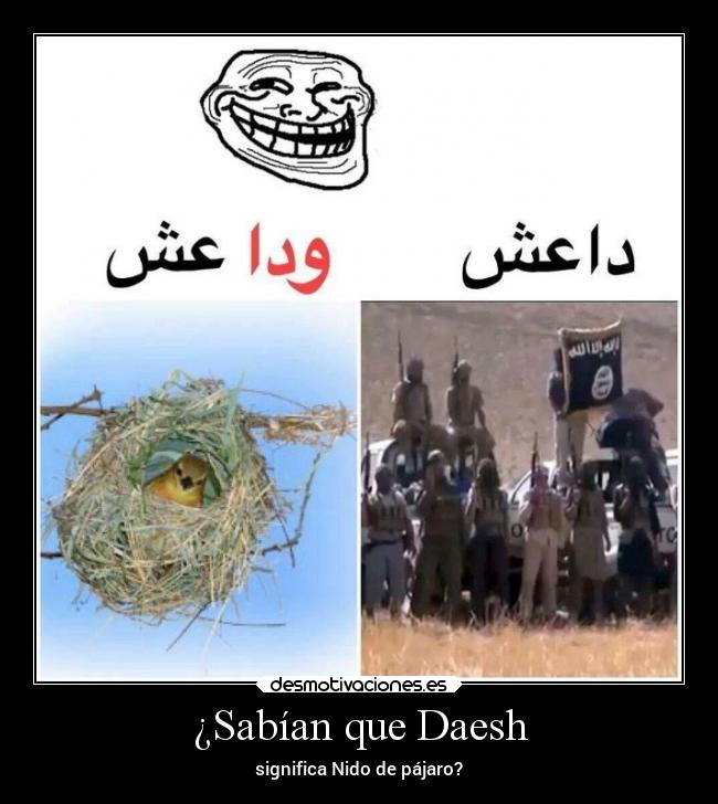 ¿Sabían que Daesh -