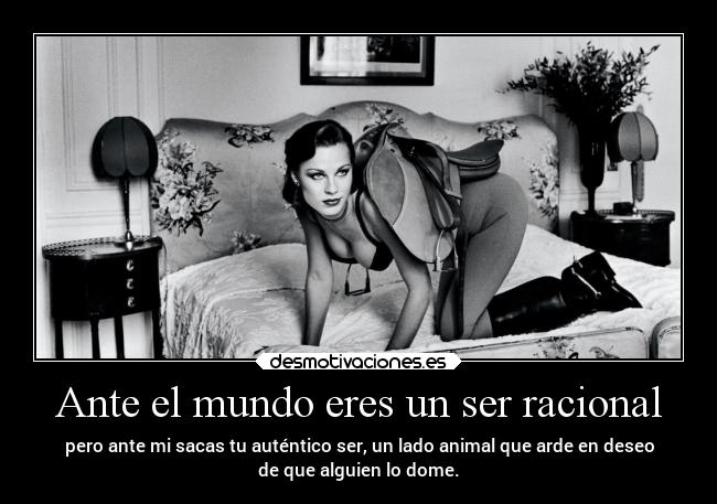 carteles mundo sexo animal deseo elchicodeayer desmotivaciones