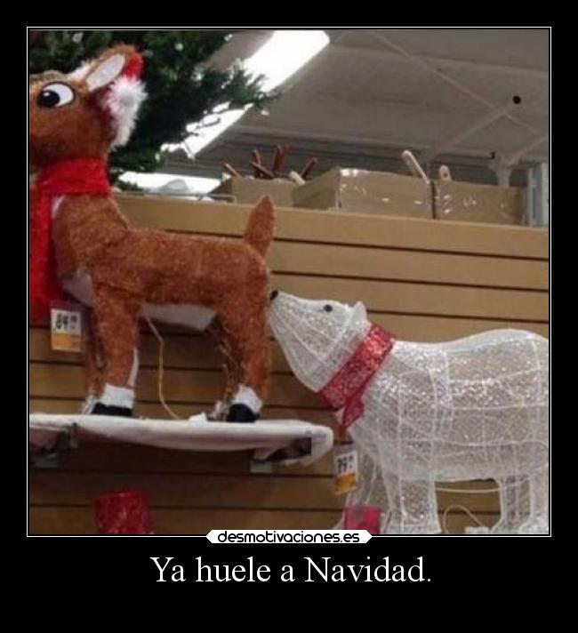 carteles navidad humor navidad diversion renos olor desmotivaciones