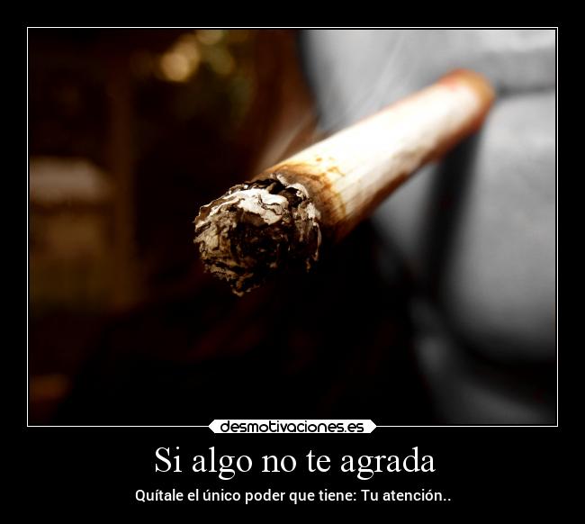 Si algo no te agrada -