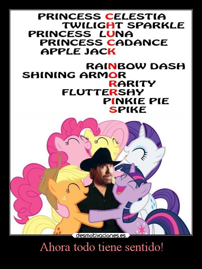 carteles pensamientos little pony princess celestia apple jack rainbow dash pinkie pie luna chuck norris desmotivaciones