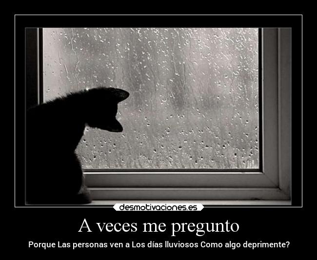 carteles pensamientos lluvia gatito desmotivaciones