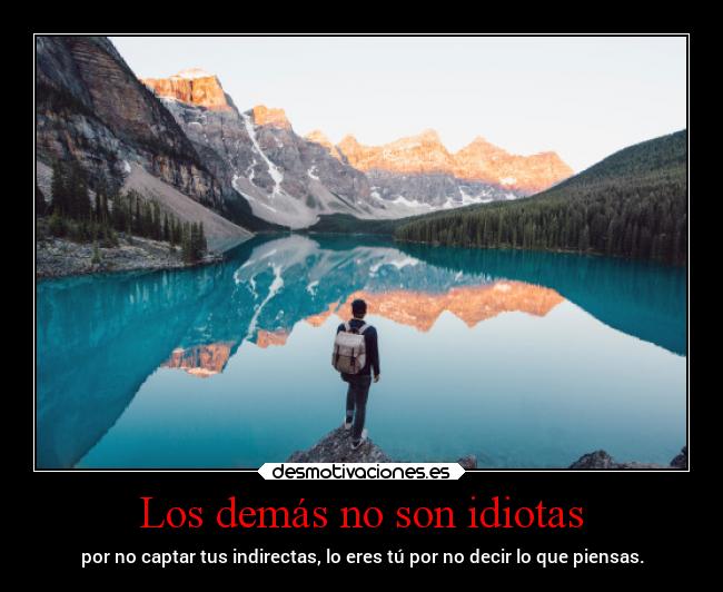 Los demás no son idiotas - 