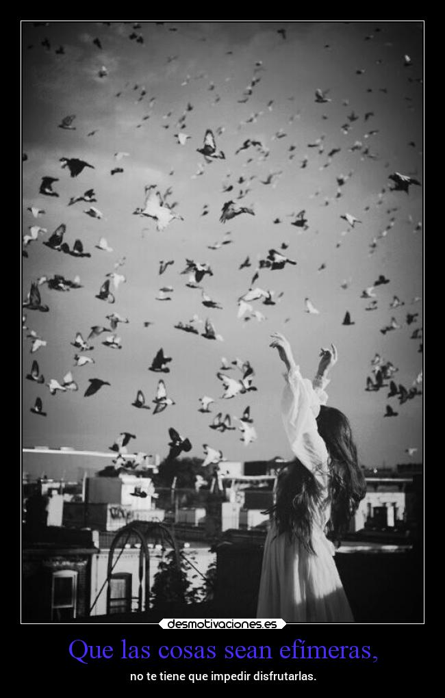 carteles pensamientos vida disfrutar efimero mels reflexiones desmotivaciones