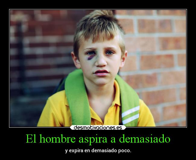 carteles pokemon desmotivaciones enemc desmotivaciones