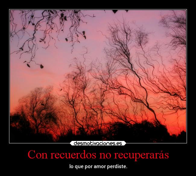 Con recuerdos no recuperarás - lo que por amor perdiste.