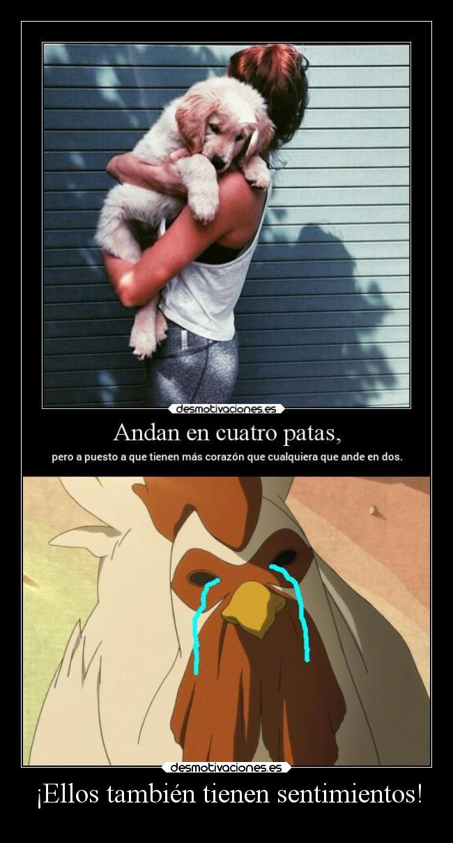 ¡Ellos también tienen sentimientos! - 