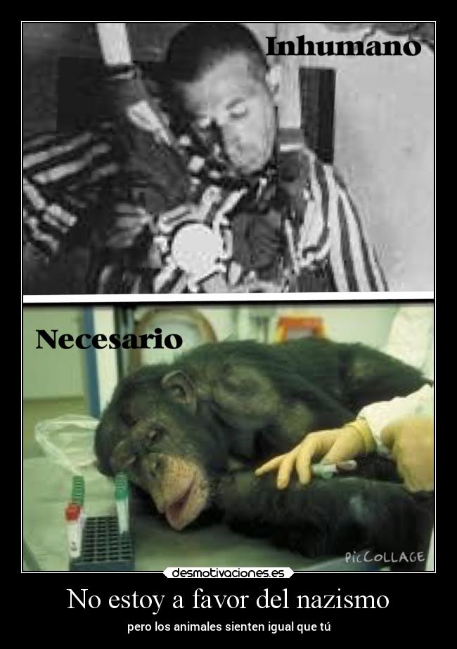 carteles sentimientos animales nazis experimentacion crueldad maltrato injusto desmotivaciones