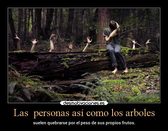 carteles sentimientos debilidad caracter personas arboles peso frutos desmotivaciones