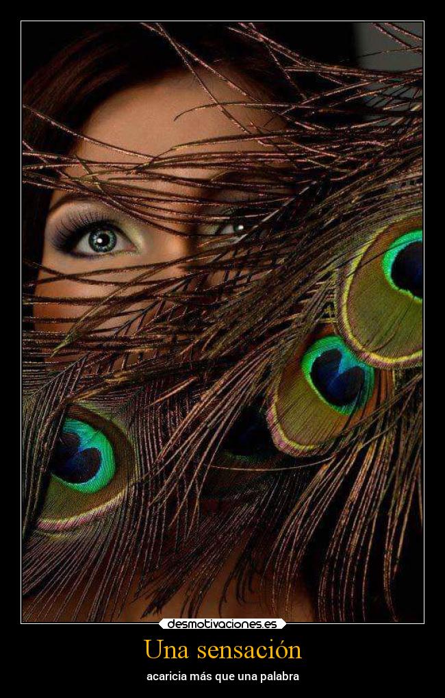 Una sensación - acaricia más que una palabra