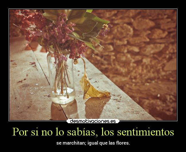 Por si no lo sabías, los sentimientos - se marchitan; igual que las flores.