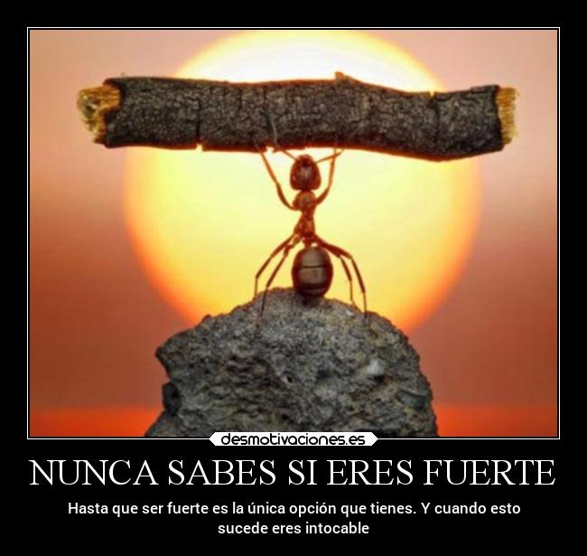 NUNCA SABES SI ERES FUERTE - 