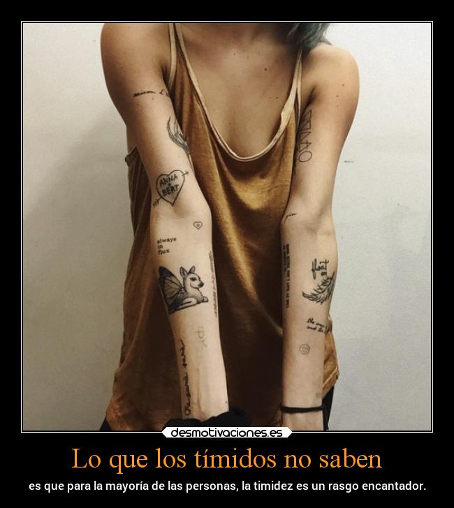 Lo que los tímidos no saben - 