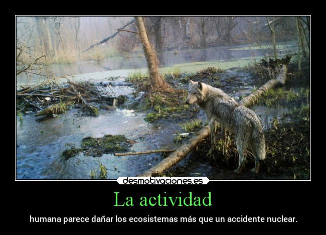 La actividad - humana parece dañar los ecosistemas más que un accidente nuclear.
