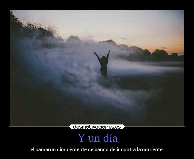 Y un día - el camarón simplemente se cansó de ir contra la corriente.