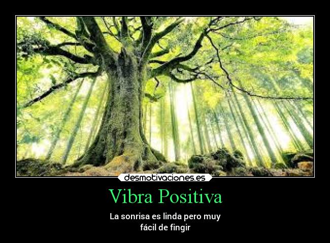 Vibra Positiva -