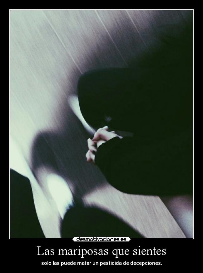 Las mariposas que sientes -