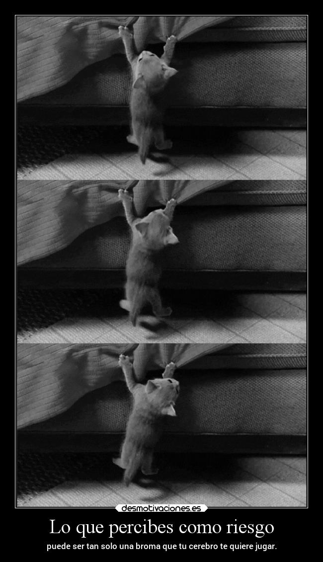 Lo que percibes como riesgo -