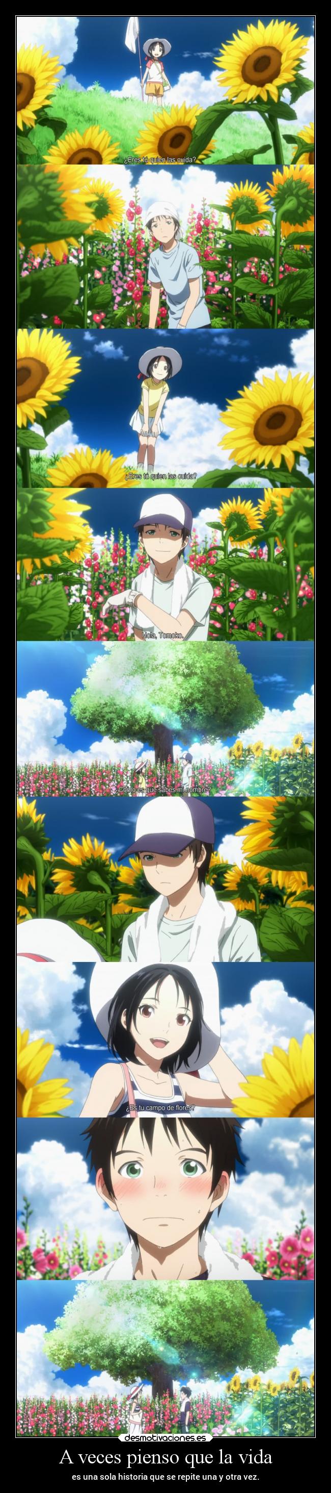 A veces pienso que la vida - 