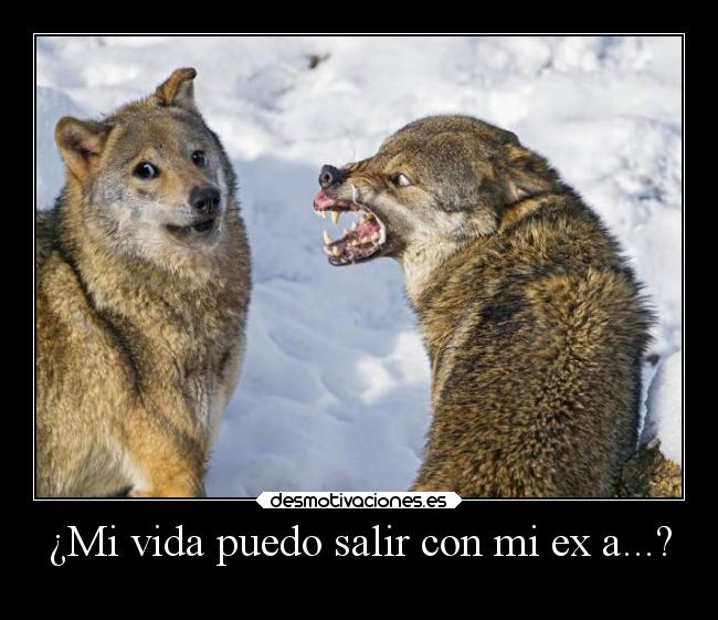 ¿Mi vida puedo salir con mi ex a...? - 