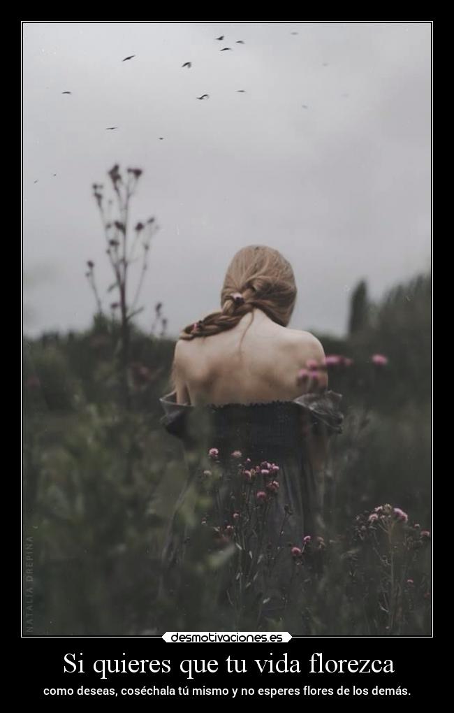 Si quieres que tu vida florezca - como deseas, coséchala tú mismo y no esperes flores de los demás.