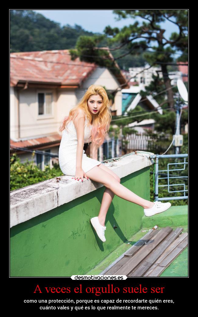 A veces el orgullo suele ser - 