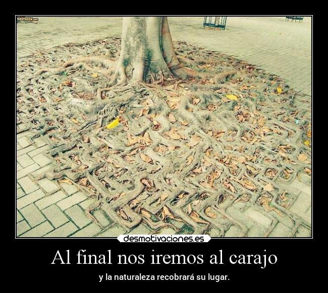 Al final nos iremos al carajo - y la naturaleza recobrará su lugar.