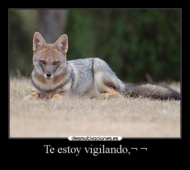 carteles vida desmotivaciones