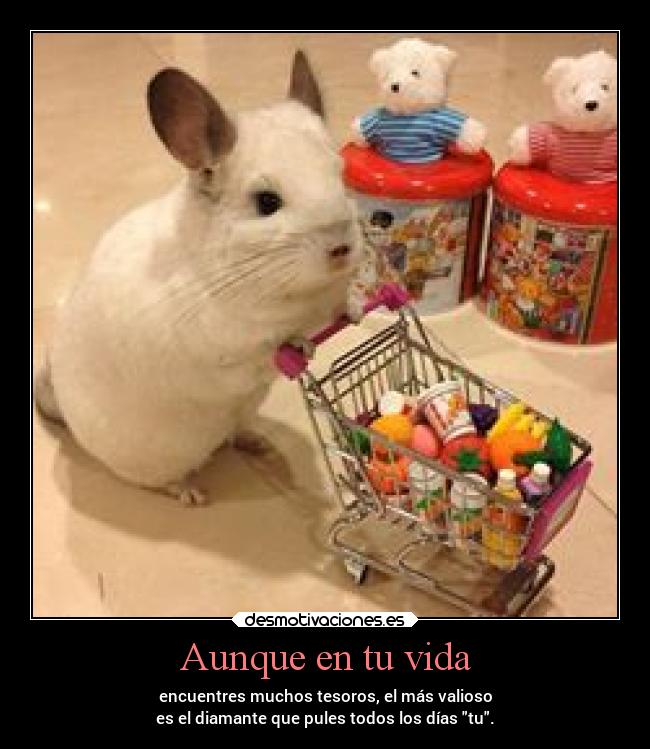 Aunque en tu vida - encuentres muchos tesoros, el más valioso
es el diamante que pules todos los días tu.