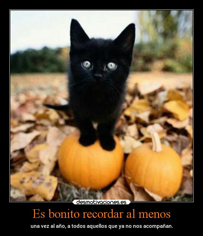 Es bonito recordar al menos -