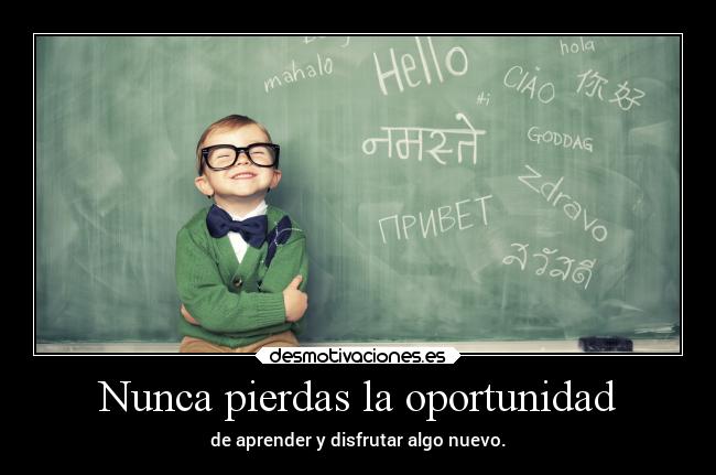 Nunca pierdas la oportunidad - de aprender y disfrutar algo nuevo.