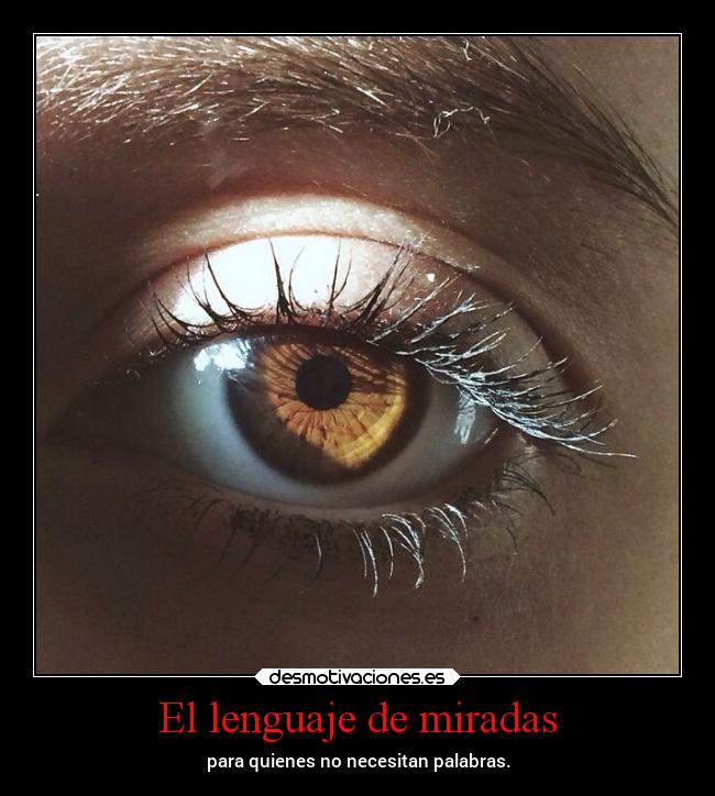 El lenguaje de miradas - para quienes no necesitan palabras.