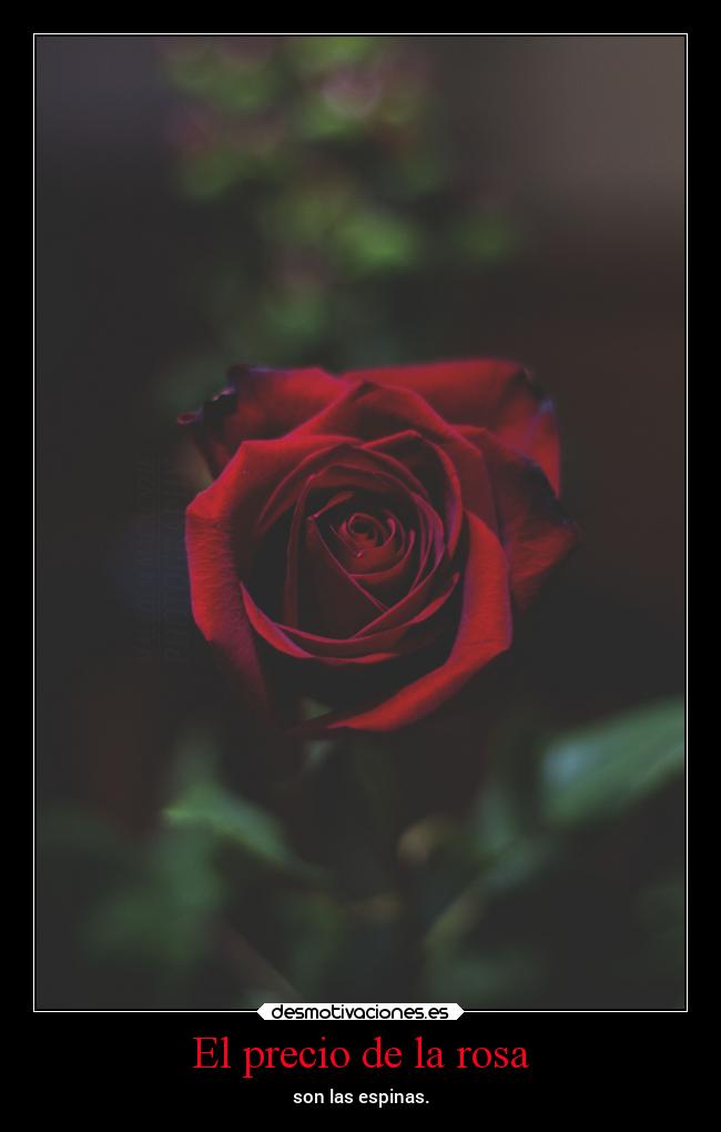 El precio de la rosa - son las espinas.