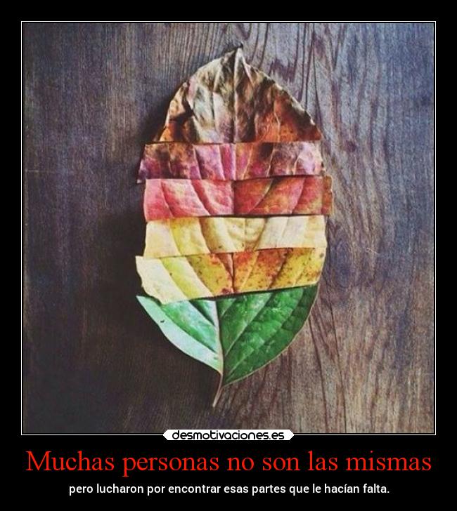 Muchas personas no son las mismas -
