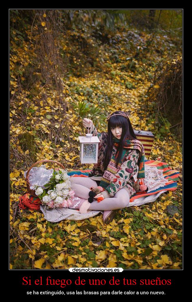 carteles vida motivaciones suenos metas projectd desmotivaciones