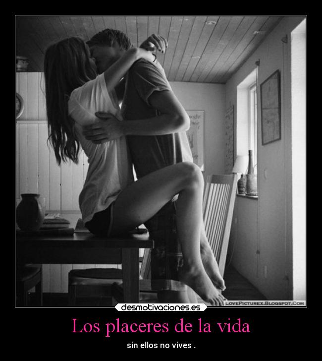 carteles vida pensamientos sexo vida placer dingoo manada32 desmotivaciones
