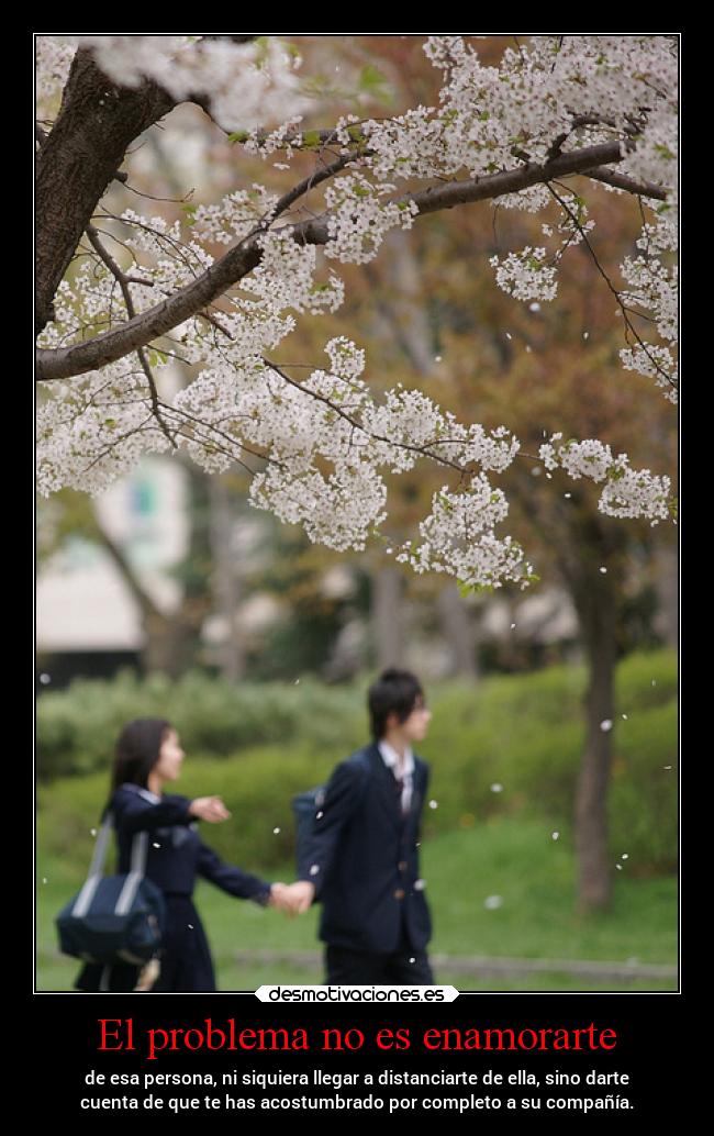 El problema no es enamorarte -