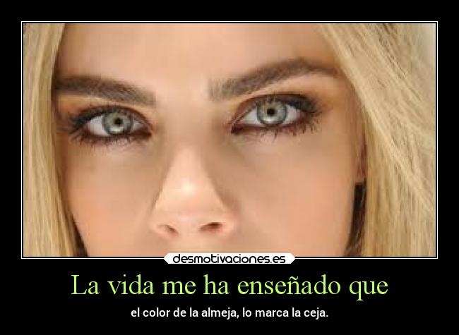 La vida me ha enseñado que - el color de la almeja, lo marca la ceja.