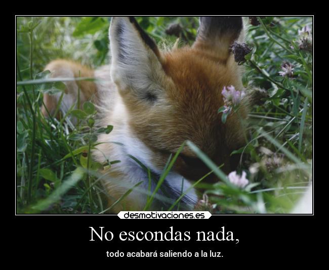 No escondas nada, - 