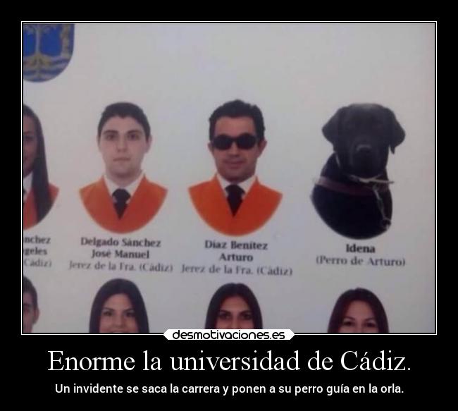 Enorme la universidad de Cádiz. - Un invidente se saca la carrera y ponen a su perro guía en la orla.