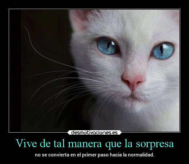 Vive de tal manera que la sorpresa - no se convierta en el primer paso hacia la normalidad.
