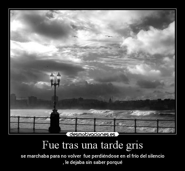 carteles vida tristeza amor tardegris desmotivaciones