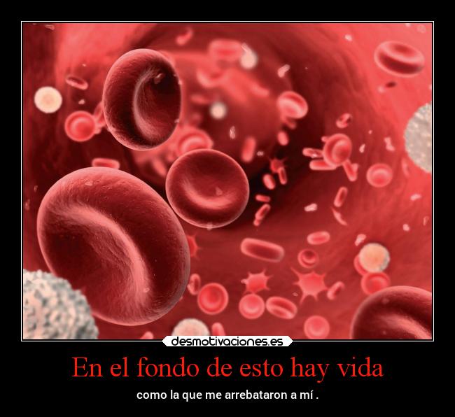 carteles vida tristeza vida confianza desmoterror erosekai dingoo desmotivaciones