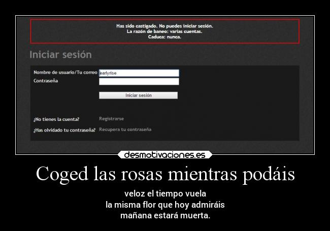 Coged las rosas mientras podáis - veloz el tiempo vuela
la misma flor que hoy admiráis
mañana estará muerta.