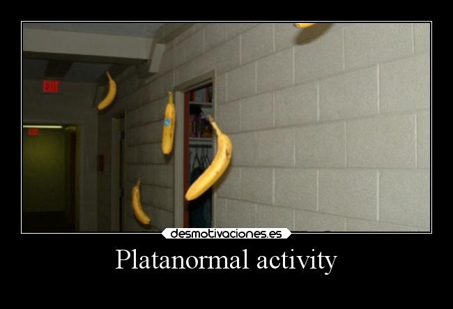 Platanormal activity -