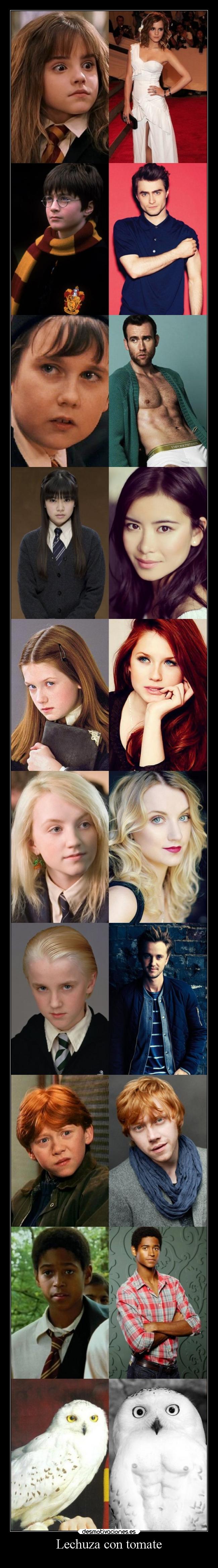 Lechuza con tomate -