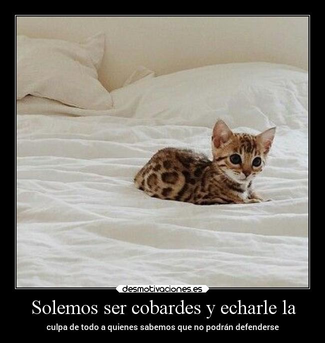 Solemos ser cobardes y echarle la -