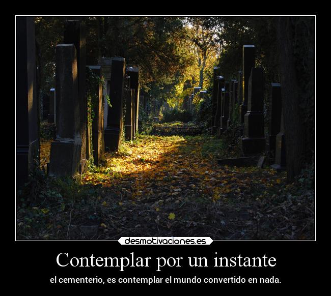 Contemplar por un instante - 