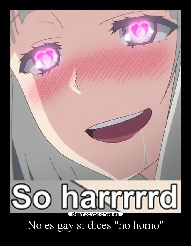 No es gay si dices no homo -