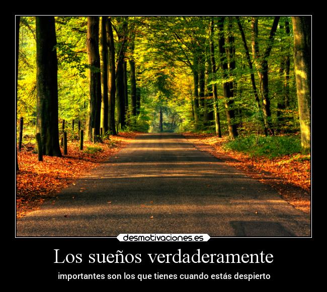 Los sueños verdaderamente - importantes son los que tienes cuando estás despierto